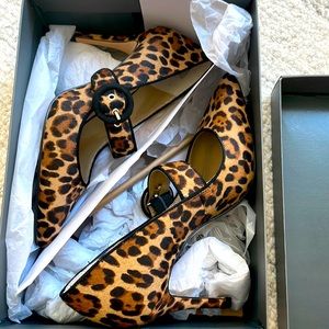 Ann Taylor Leopard pump 5.5 (wore once indoor)